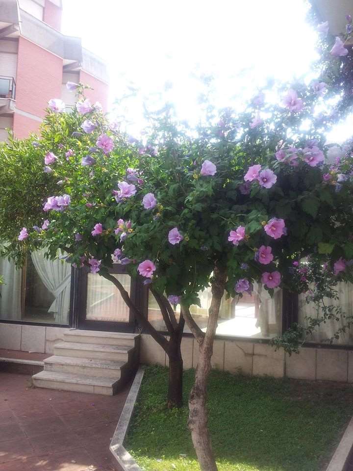 Hotel De La Ville Central Latina Fasiliteter bilde