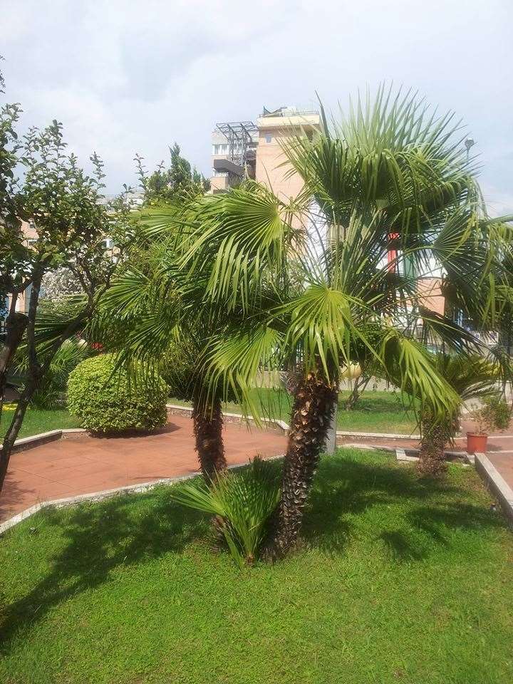 Hotel De La Ville Central Latina Fasiliteter bilde